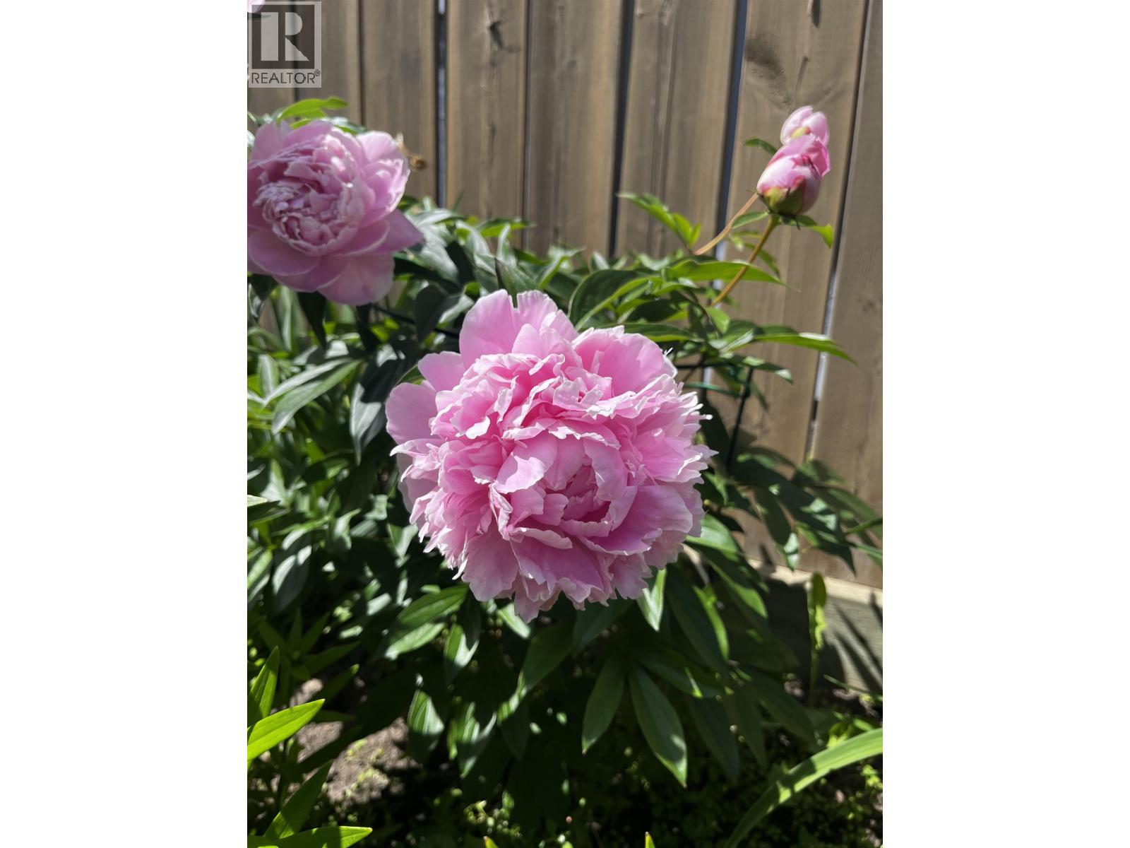 8711 113a Avenue, Fort St. John, British Columbia  V1J 0C4 - Photo 32 - R3105024