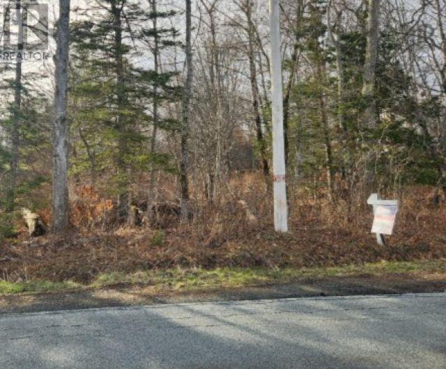 8 Acres Cedar Road, Church Hill, Maitland, Nova Scotia  B0N 1T0 - Photo 2 - 202602135