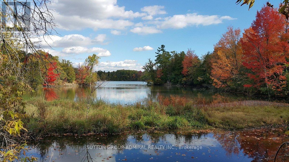 75 James Scott Road, Markham, Ontario  L3P 7W6 - Photo 39 - N13025376