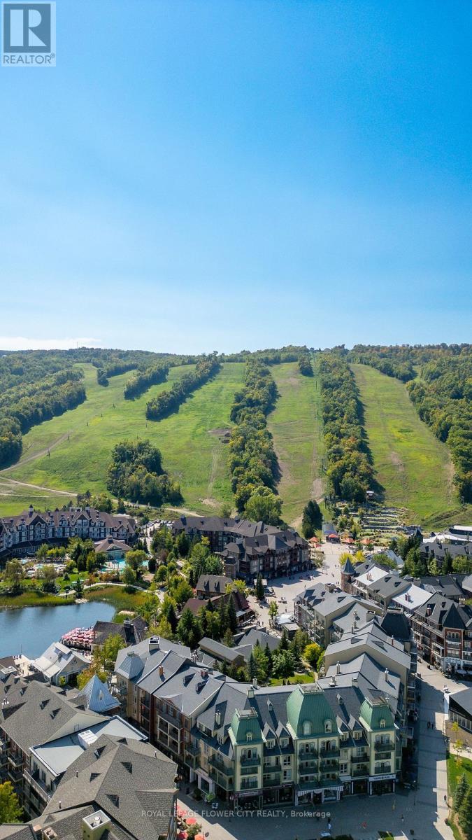 734 Mountain Road, Collingwood, Ontario  L9Y 5G1 - Photo 43 - S13025256