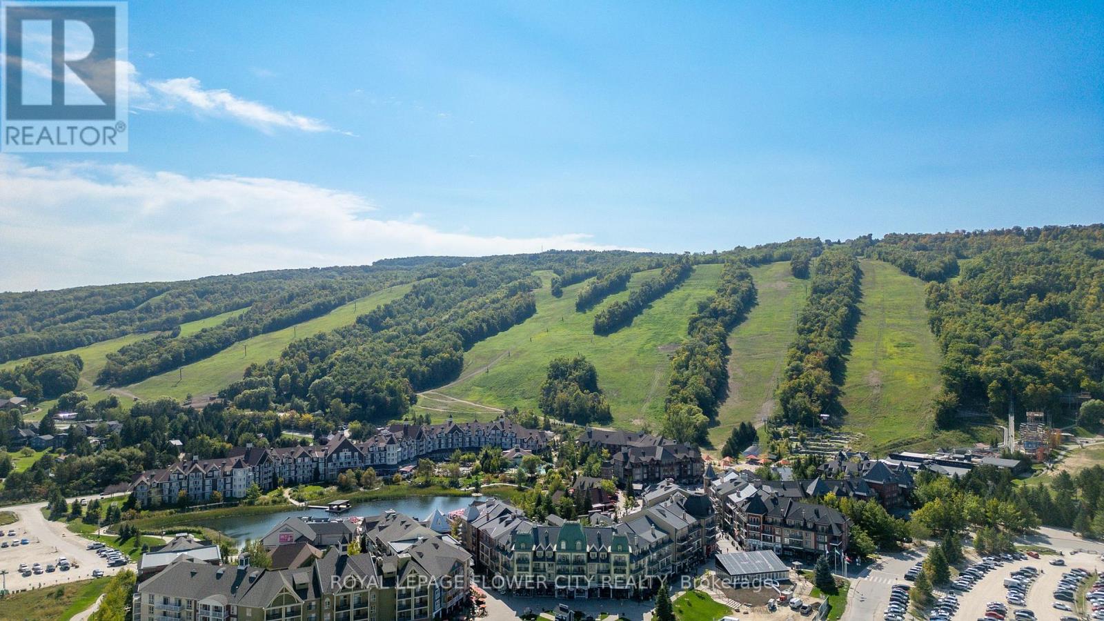 734 Mountain Road, Collingwood, Ontario  L9Y 5G1 - Photo 5 - S13025256