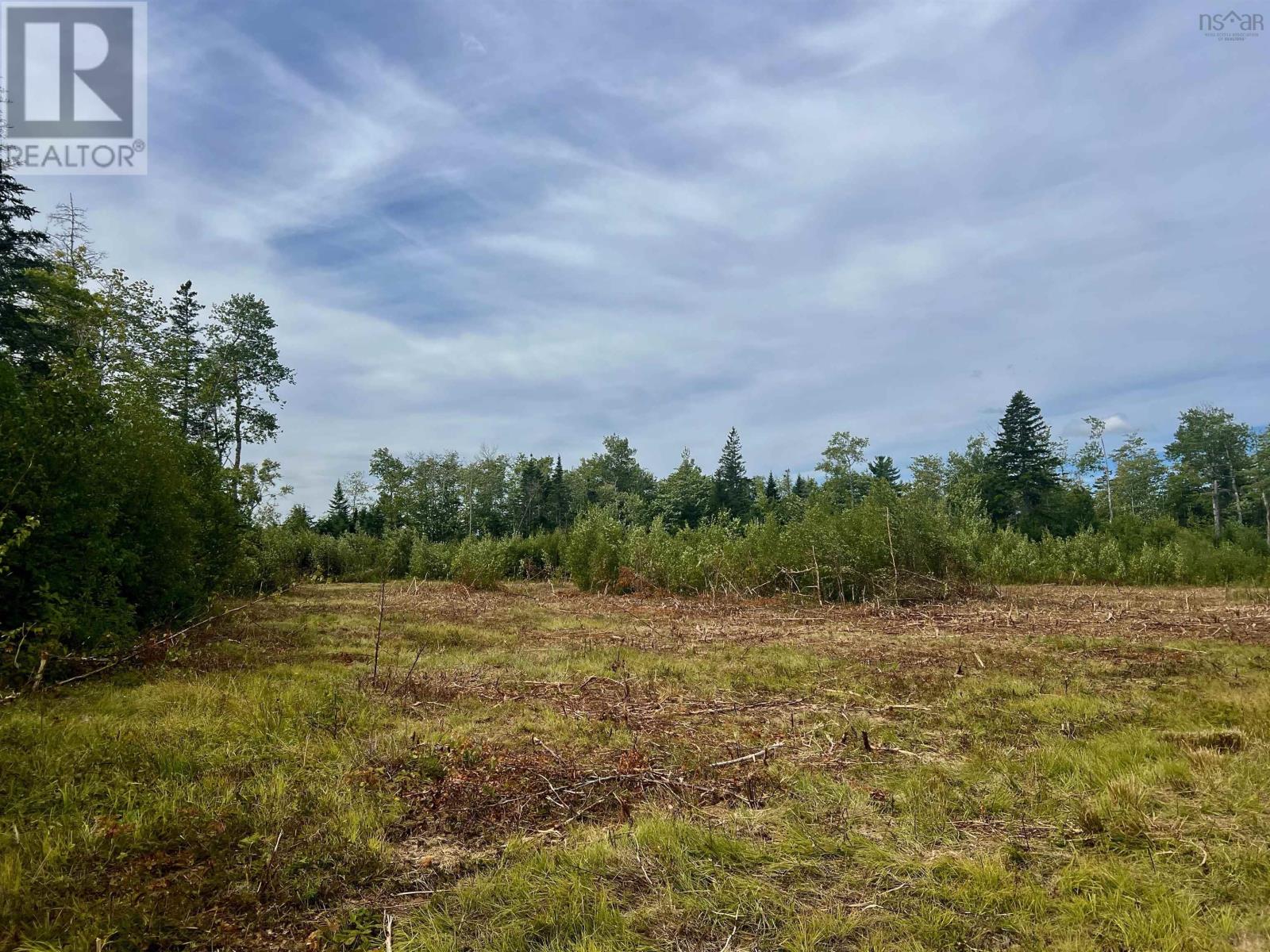 Lot 9 Peck Meadow Road, Greenfield, Nova Scotia  B4P 2R1 - Photo 6 - 202608124