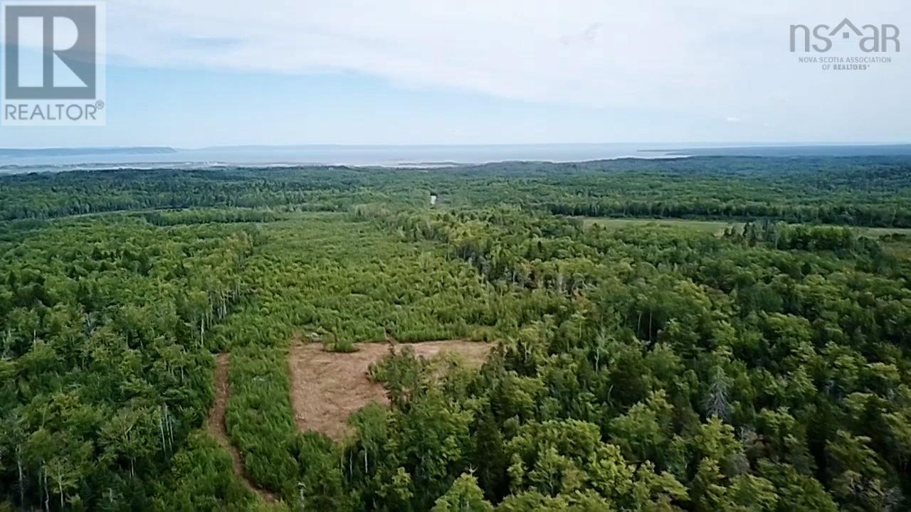 Lot 9 Peck Meadow Road, Greenfield, Nova Scotia  B4P 2R1 - Photo 9 - 202608124