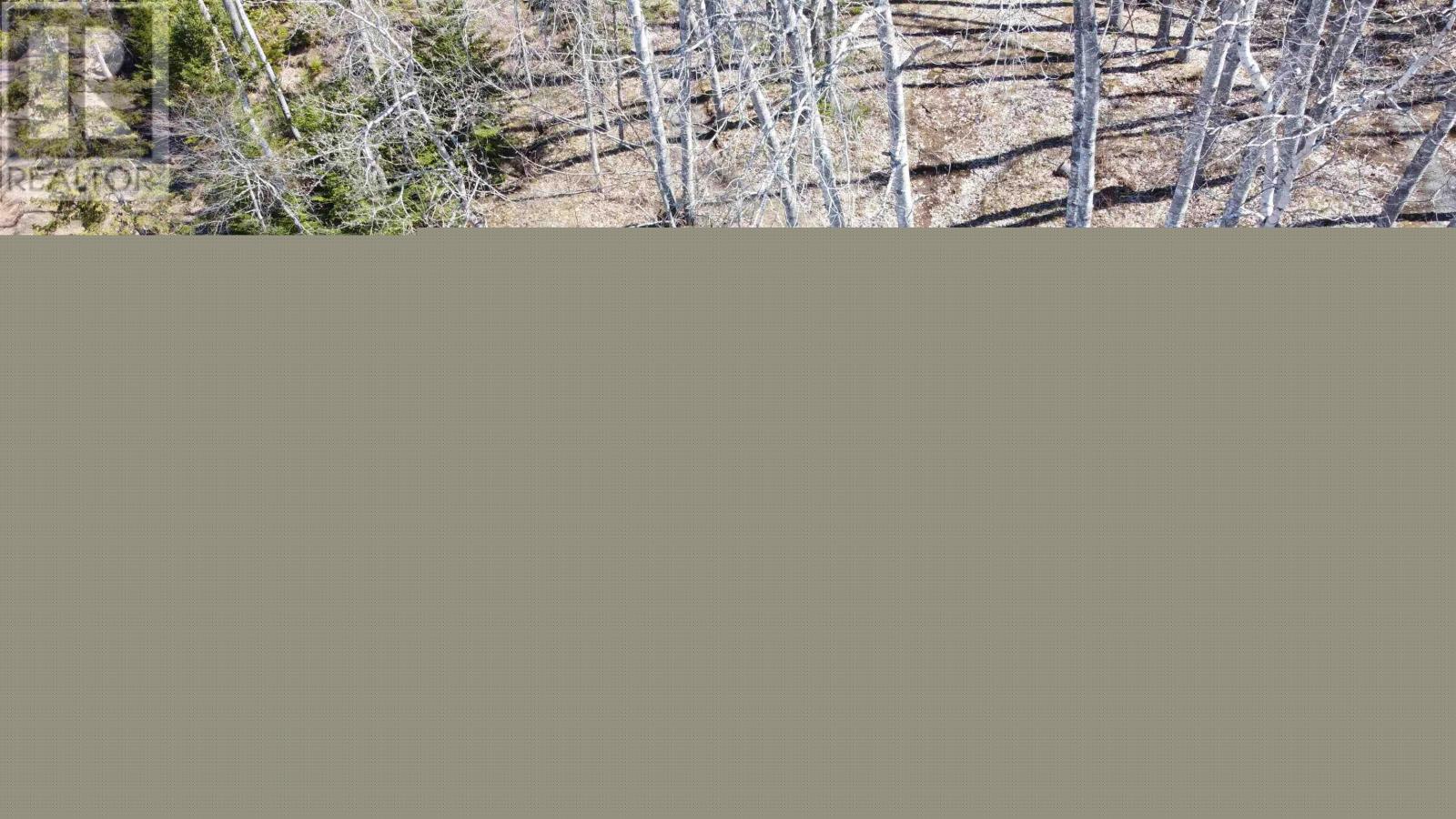 21 Lot Riverview Drive, Brooklyn, Nova Scotia  B0N 2A0 - Photo 7 - 202608127