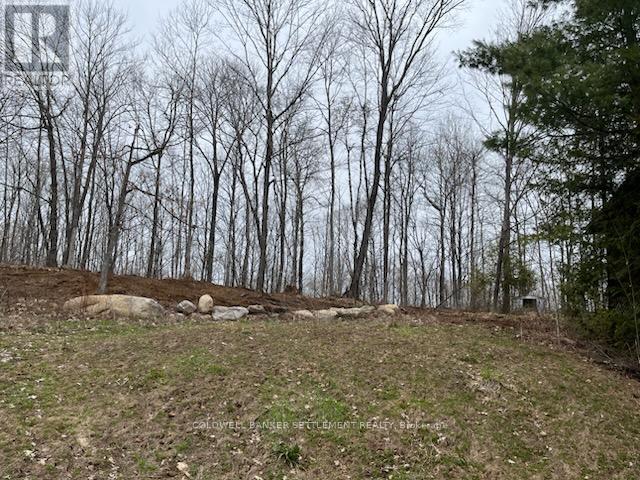 1361 Baker Valley Road, Frontenac, Ontario  K0H 0B6 - Photo 19 - X12701108