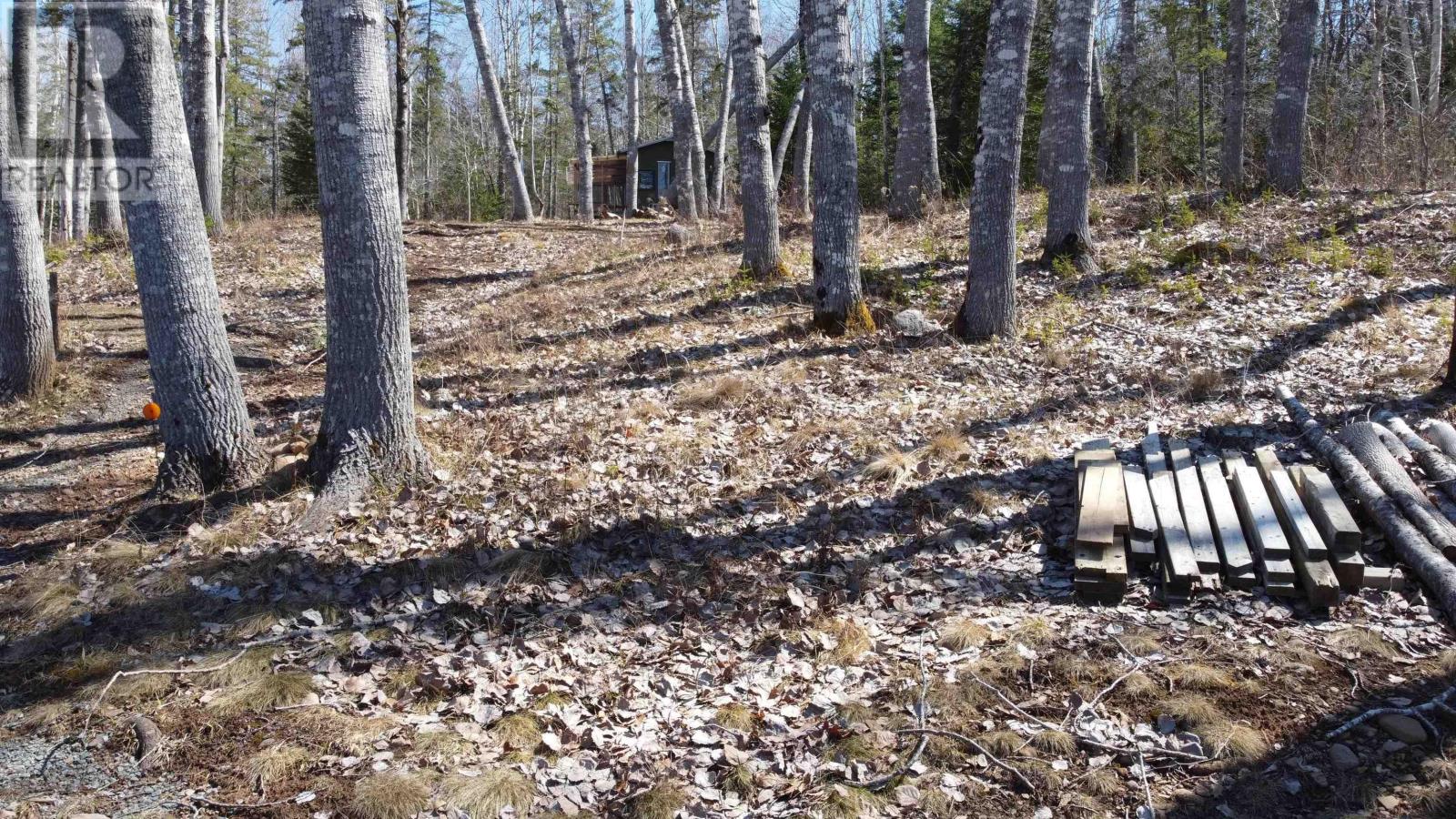 20 Hazelwood Drive, Brooklyn, Nova Scotia  B0N 2A0 - Photo 10 - 202608132