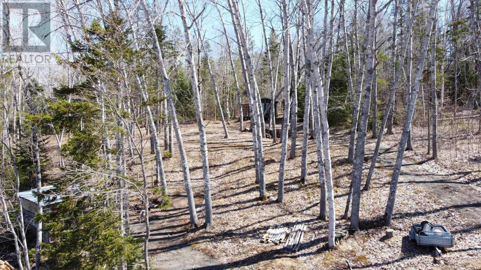 20 Hazelwood Drive, Brooklyn, Nova Scotia  B0N 2A0 - Photo 8 - 202608132