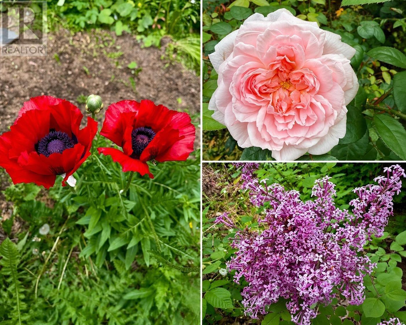 57 Beechcrest Drive, Waverley, Nova Scotia  B2R 1L4 - Photo 50 - 202608134