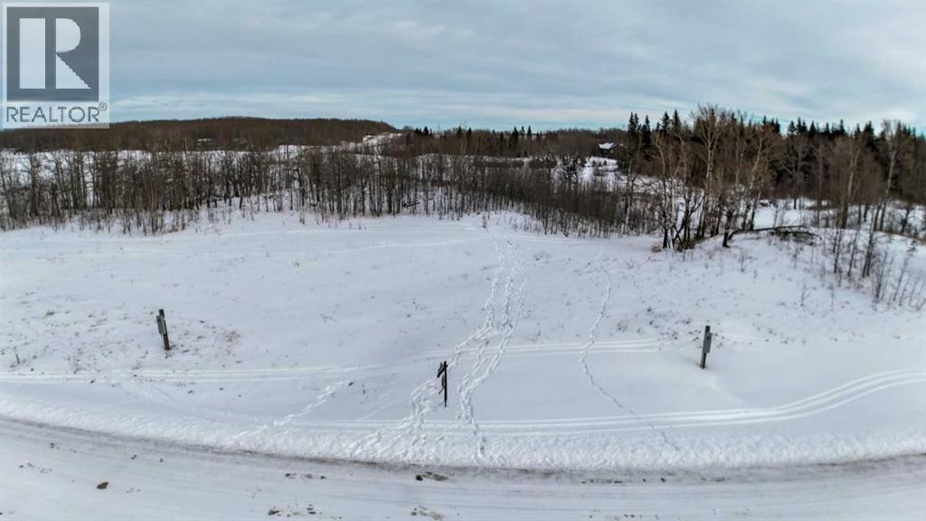 3, 15015 Township Road 424, Rural Ponoka County, Alberta  T0B 0H0 - Photo 7 - A2268300