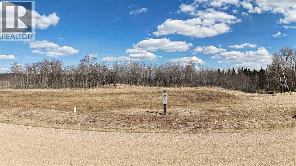 3, 15015 Township Road 424, Rural Ponoka County, Alberta  T0B 0H0 - Photo 3 - A2268300