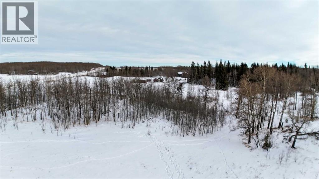 3, 15015 Township Road 424, Rural Ponoka County, Alberta  T0B 0H0 - Photo 9 - A2268300