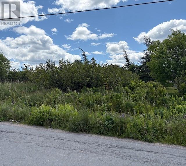 180 Central Street, Bay Roberts, Newfoundland & Labrador  A0A 1G0 - Photo 1 - 1296372