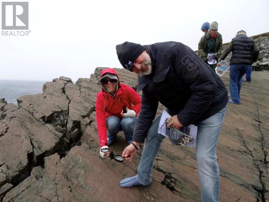 1 Church Road, Trepassey, Newfoundland & Labrador  A0A 4B0 - Photo 47 - 1295911