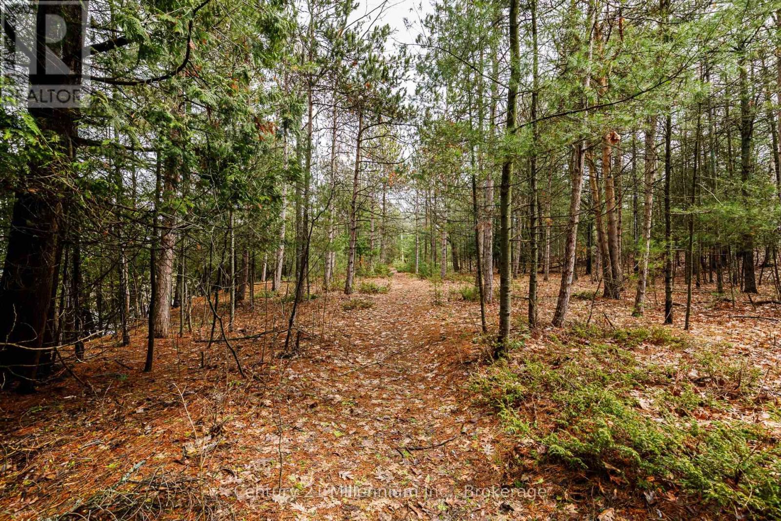 8 Poplar Street, Wasaga Beach, Ontario  L9Z 2X5 - Photo 15 - S13025998