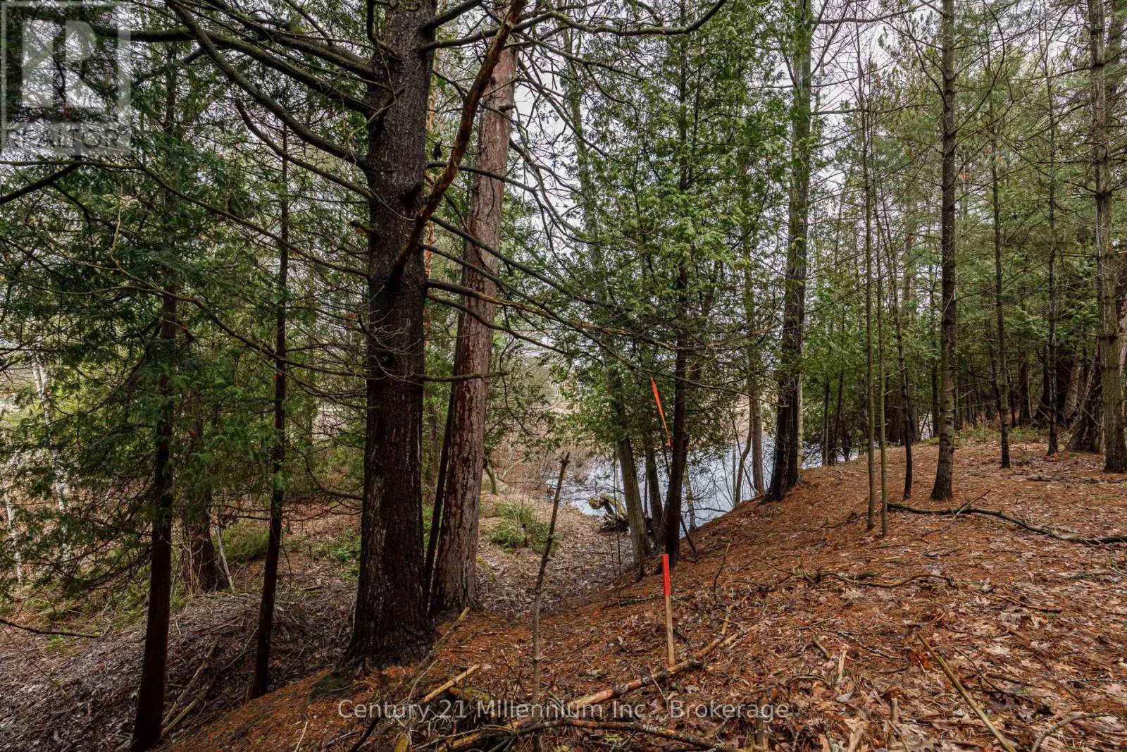 8 Poplar Street, Wasaga Beach, Ontario  L9Z 2X5 - Photo 17 - S13025998