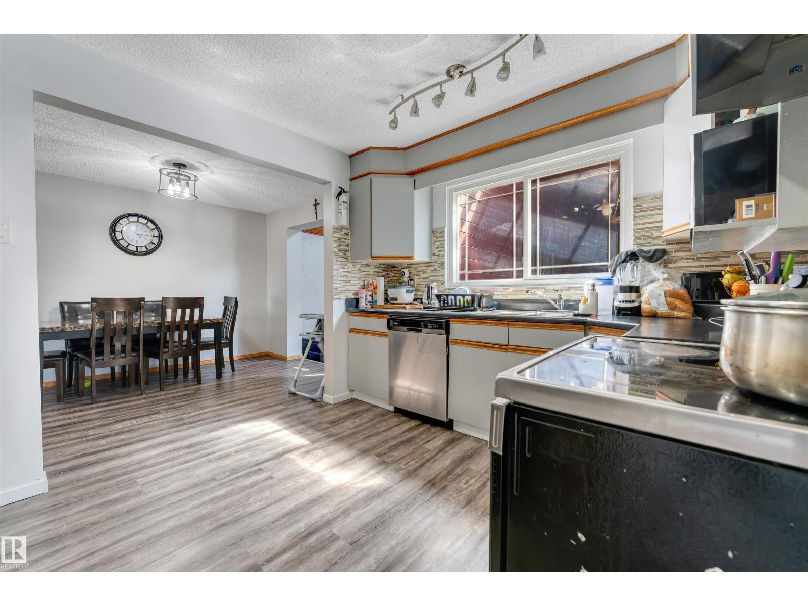 9217 168 St Nw, Edmonton, Alberta  T5R 2V8 - Photo 21 - E4483083