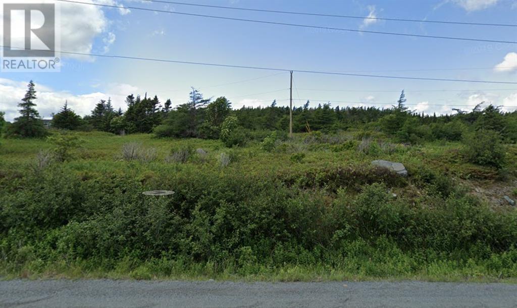 500-510 Southern Shore Highway, Witless Bay, Newfoundland & Labrador  A0A 4K0 - Photo 1 - 1296441