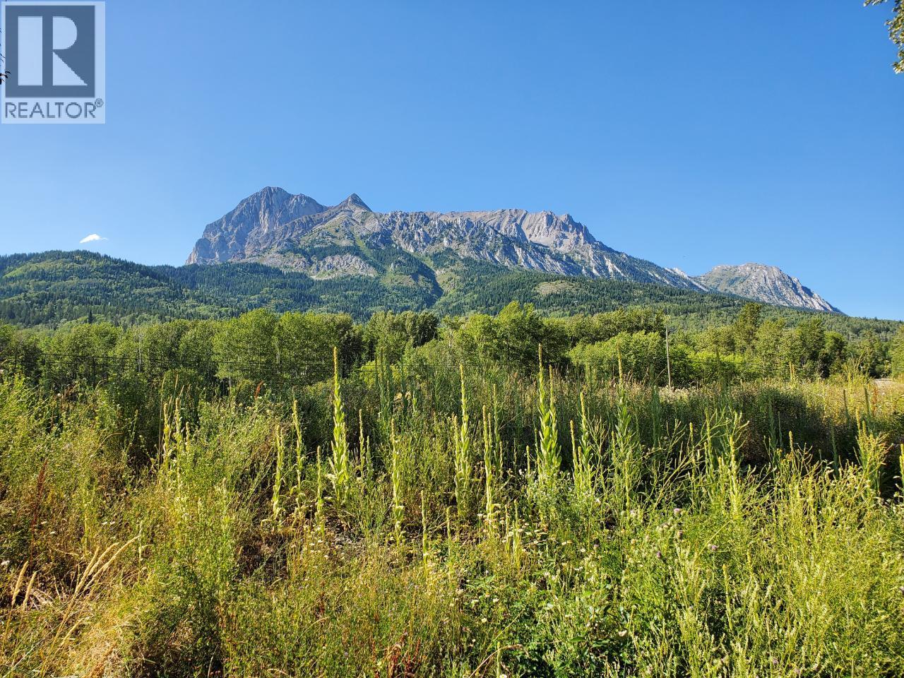 7015 Stubbs Road, Hosmer, British Columbia  V0B 1M5 - Photo 1 - 10384132