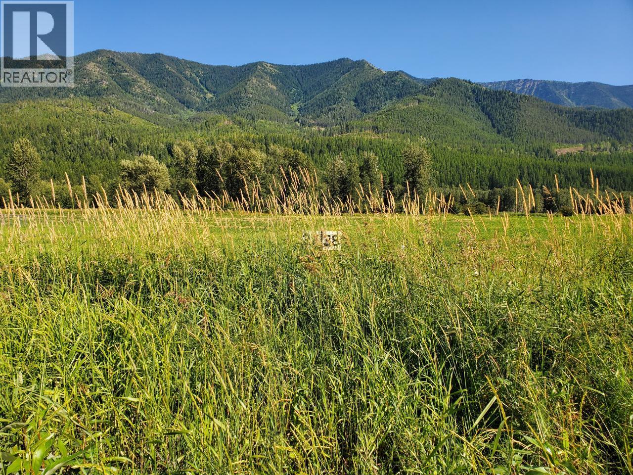 7015 Stubbs Road, Hosmer, British Columbia  V0B 1M5 - Photo 5 - 10384132