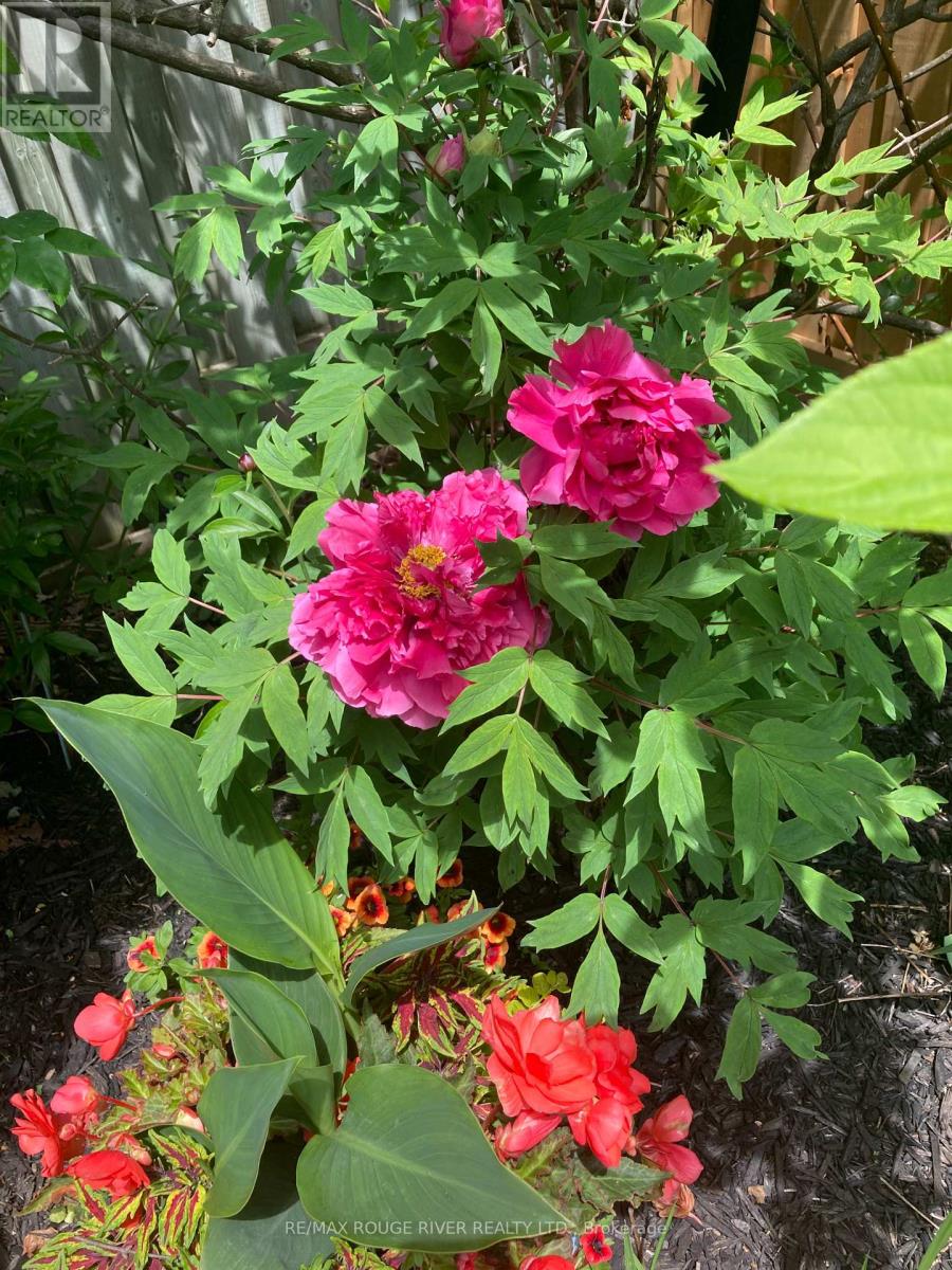 20 Twin Streams Road, Whitby (Williamsburg), Ontario  L1P 1N9 - Photo 49 - E13026142