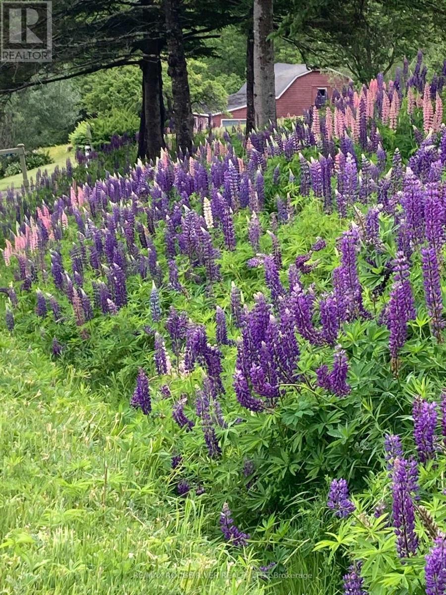 20 Twin Streams Road, Whitby (Williamsburg), Ontario  L1P 1N9 - Photo 50 - E13026142