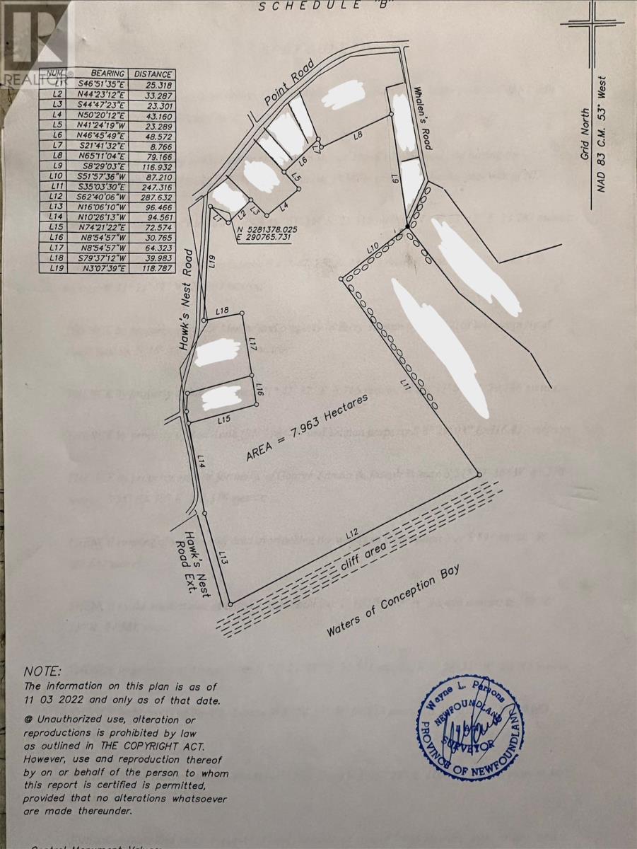0 Hawks Nest Road, Bryant's Cove, Newfoundland & Labrador  A0A 3P0 - Photo 19 - 1296431