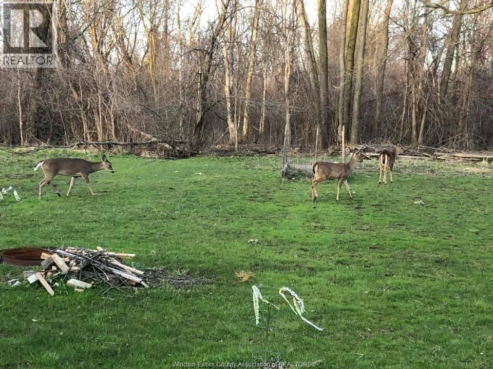 1960 Randolph, Windsor, Ontario  N9B 2W5 - Photo 48 - 26008774
