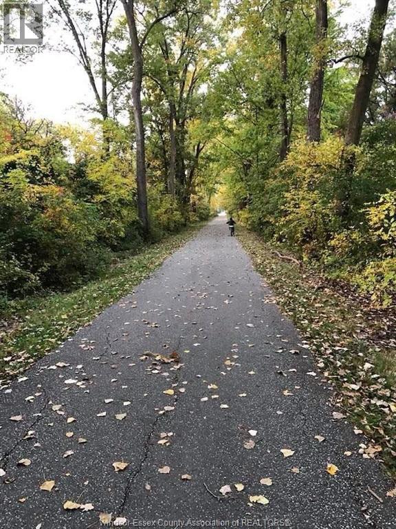 1960 Randolph, Windsor, Ontario  N9B 2W5 - Photo 46 - 26008774