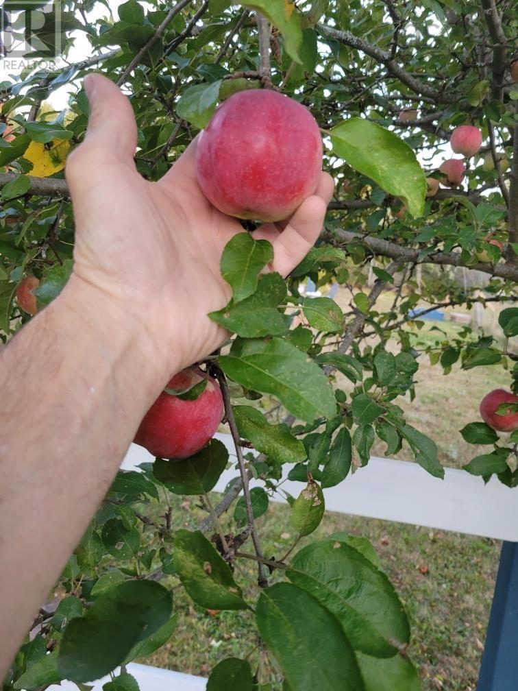 38 Rustic Drive, Crowes Mills, Nova Scotia  B0M 1G0 - Photo 7 - 202608139