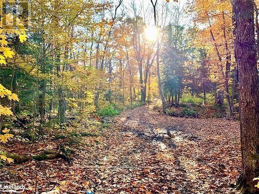 60 Hawksview Lane, Seguin, Ontario  P2A 0B2 - Photo 18 - X13026240