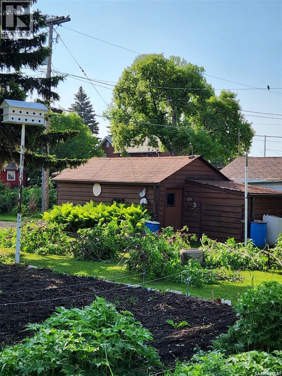 807 Elsinore Street, Whitewood, Saskatchewan  S0G 5C0 - Photo 4 - SK033542