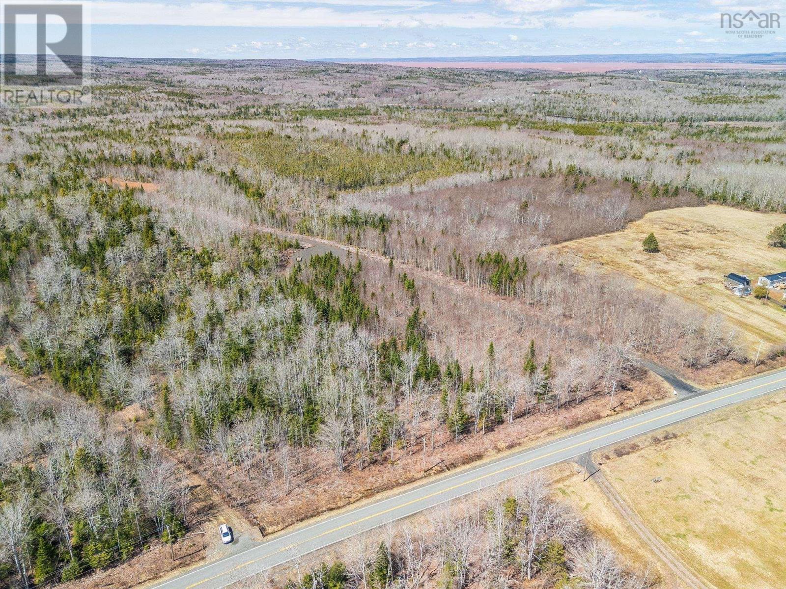 Highway 215 Acreage, Maitland, Nova Scotia  B0N 1T0 - Photo 6 - 202608146