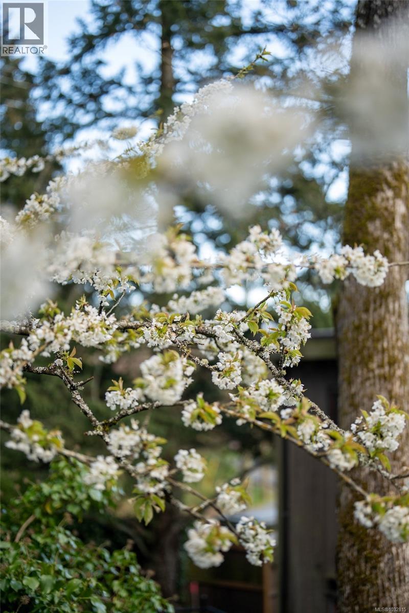 1168 Burnside Rd W, Saanich, British Columbia  V8Z 1N6 - Photo 52 - 1032815