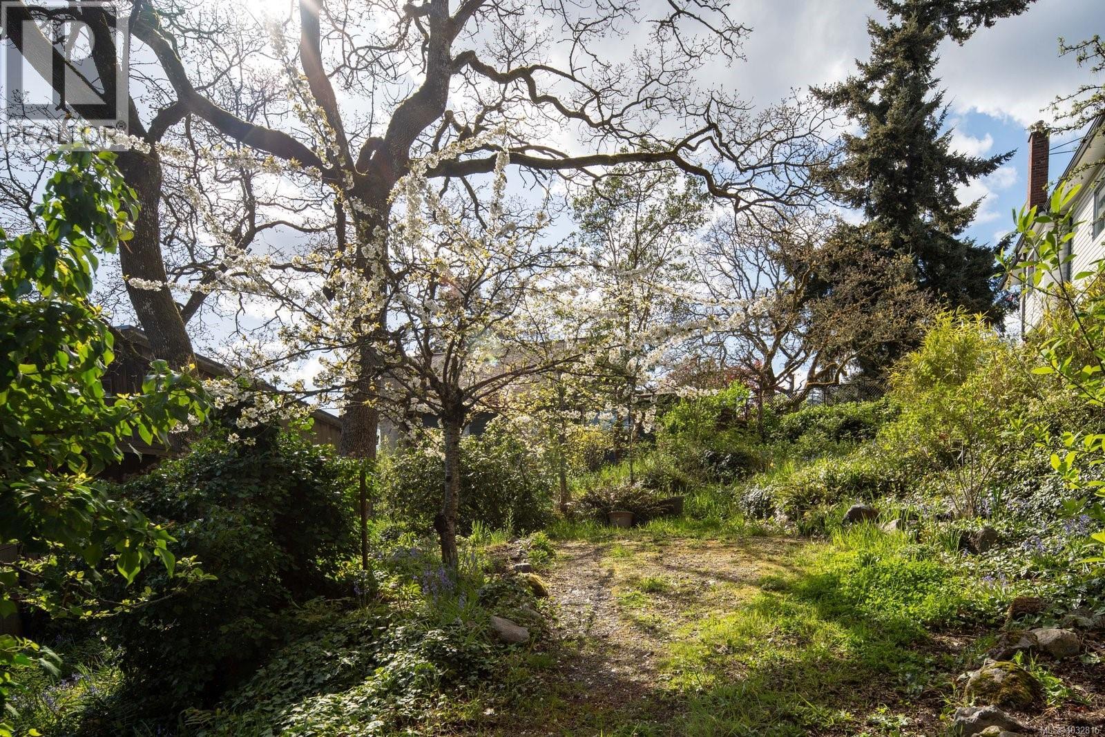 1168 Burnside Rd W, Saanich, British Columbia  V8Z 1N6 - Photo 50 - 1032815