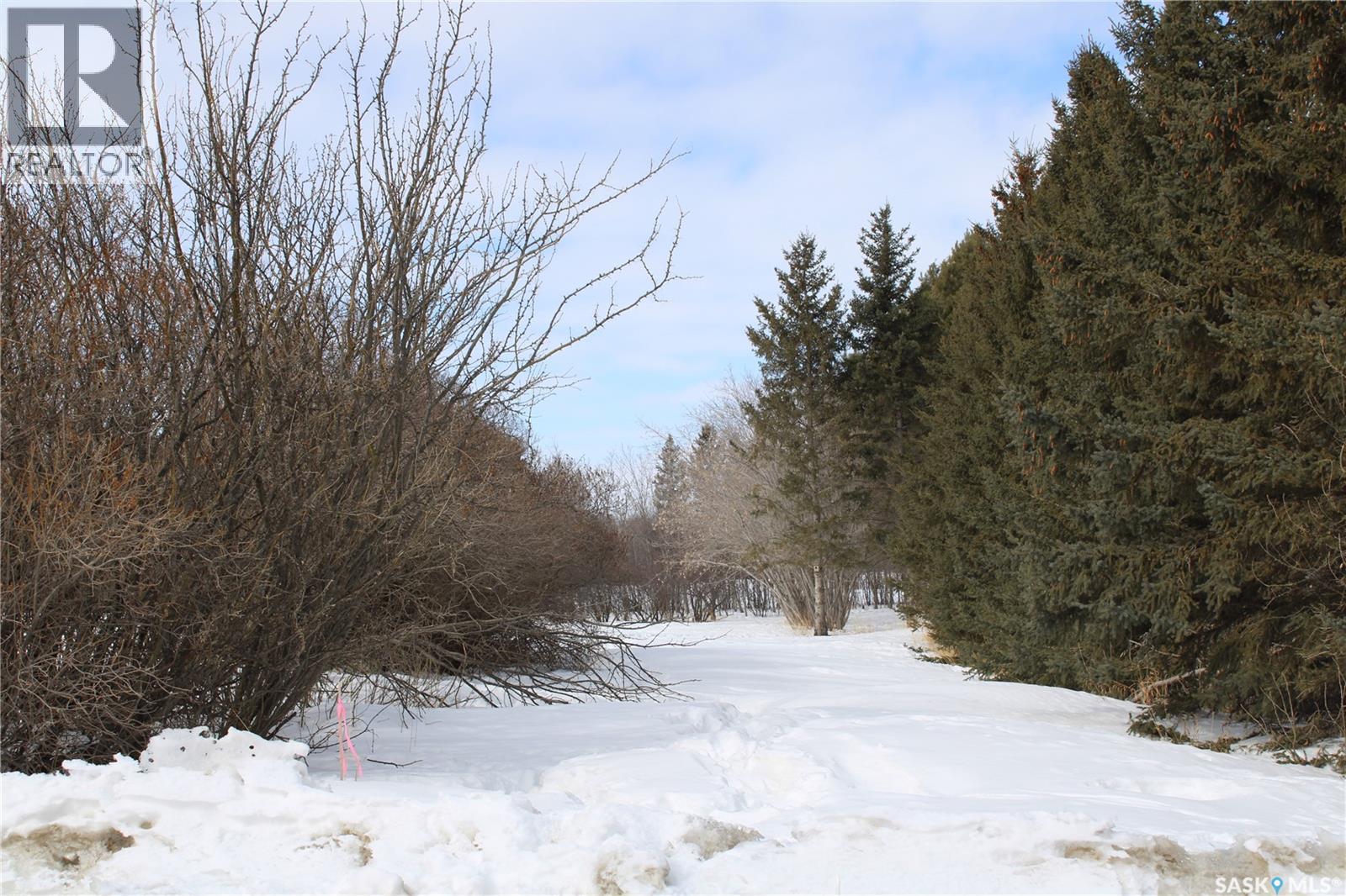 730 Broadway Street W, Orkney Rm No. 244, Saskatchewan  S3N 0P3 - Photo 4 - SK026429