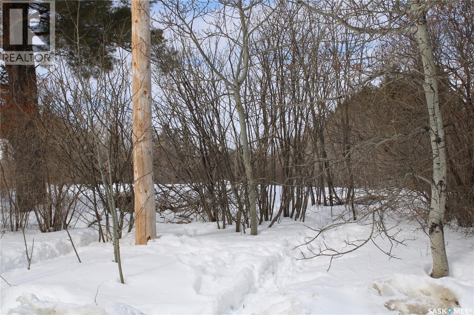 730 Broadway Street W, Orkney Rm No. 244, Saskatchewan  S3N 0P3 - Photo 2 - SK026429