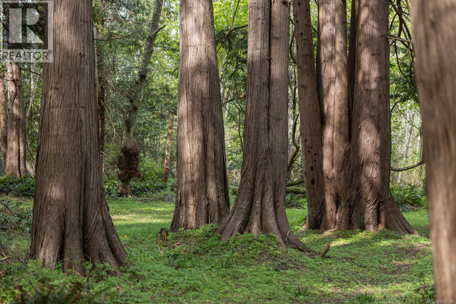 East Rd, Denman Island, British Columbia  V0R 1T0 - Photo 10 - 1032186