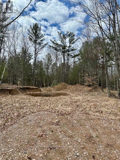 252 Nobel Road, Mcdougall, Ontario  P2A 1H0 - Photo 6 - X13019618