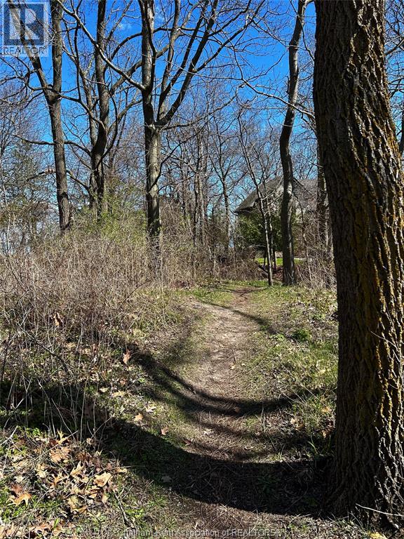 11782 Rose Beach Line, Howard Township, Ontario  N0P 1X0 - Photo 12 - 26002472