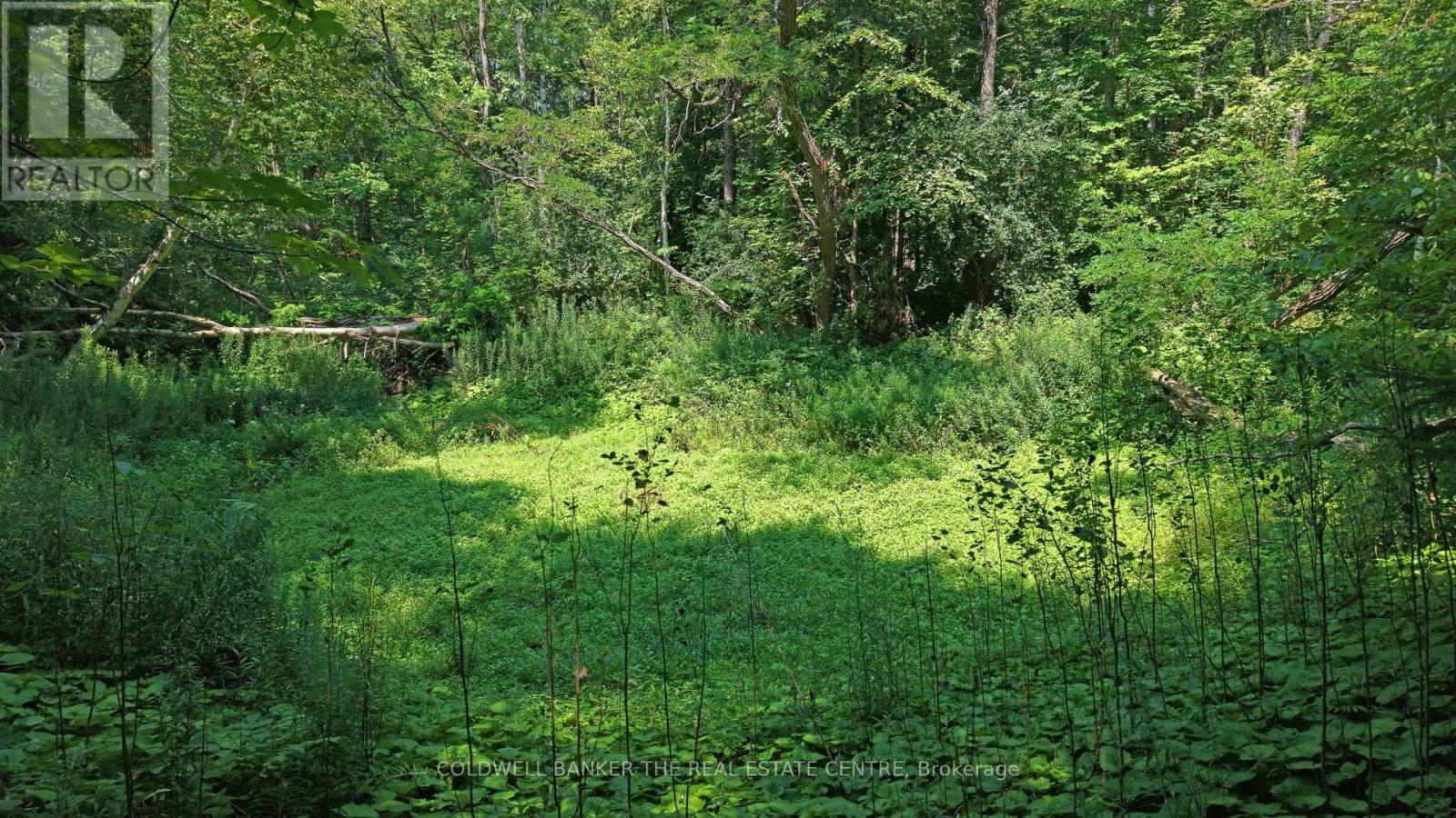 15600 Weston Road, King, Ontario  L7B 0L1 - Photo 14 - N12866694