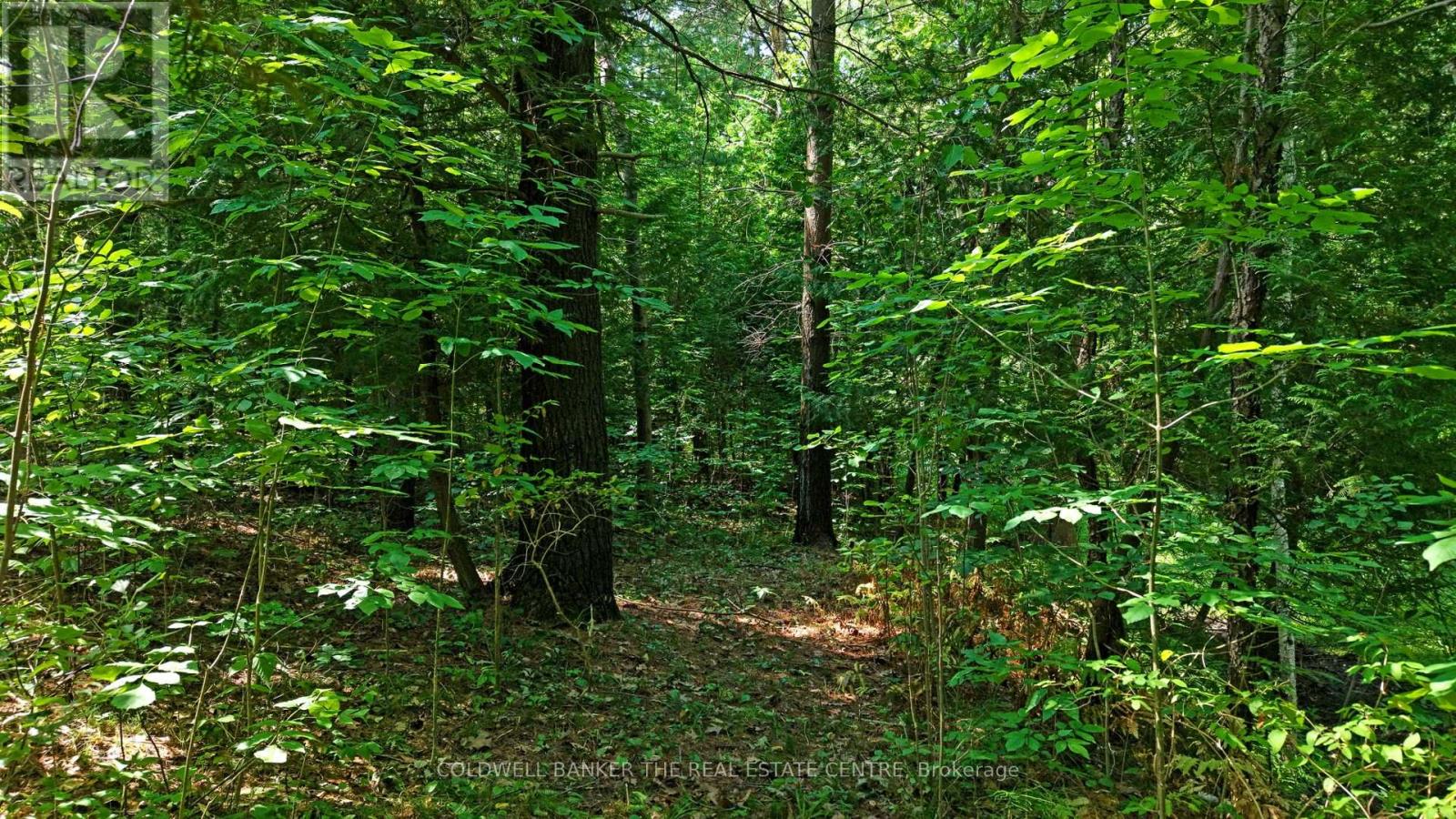 15600 Weston Road, King, Ontario  L7B 0L1 - Photo 22 - N12866694