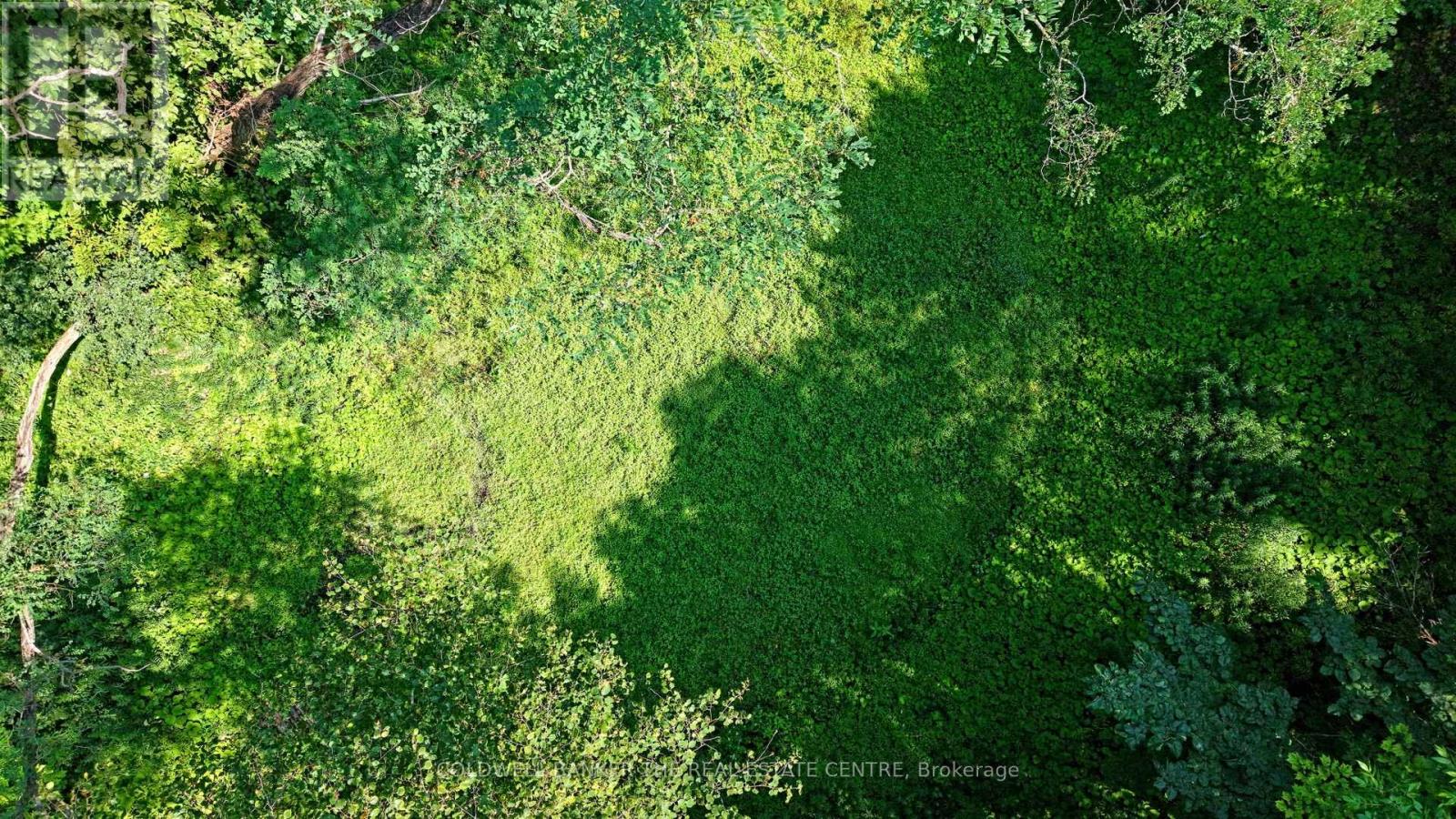 15600 Weston Road, King, Ontario  L7B 0L1 - Photo 26 - N12866694