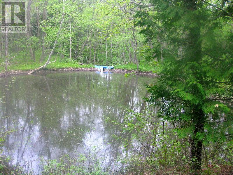 15600 Weston Road, King, Ontario  L7B 0L1 - Photo 37 - N12866694