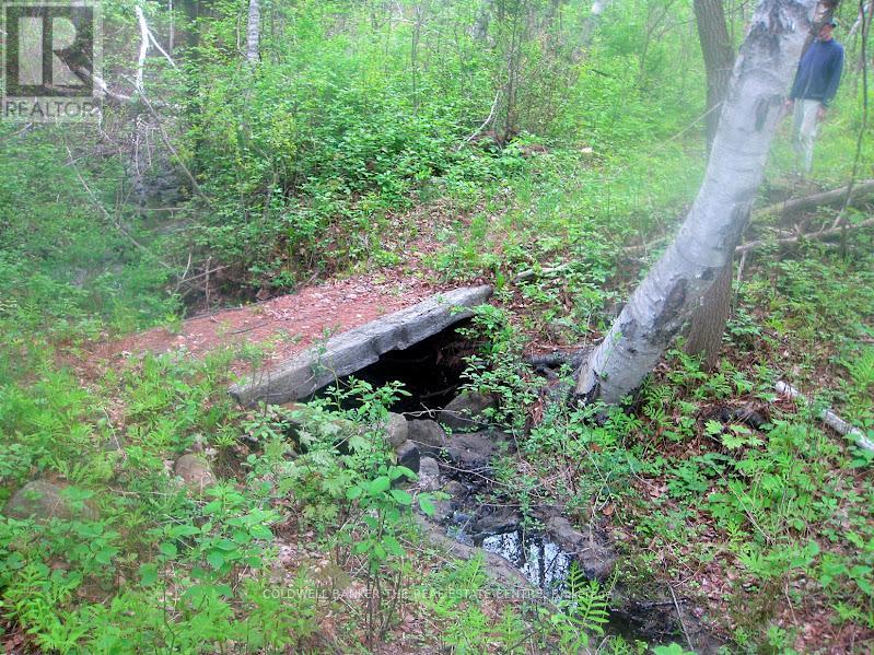 15600 Weston Road, King, Ontario  L7B 0L1 - Photo 40 - N12866694