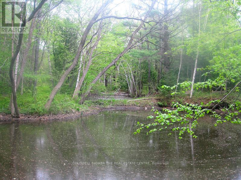 15600 Weston Road, King, Ontario  L7B 0L1 - Photo 36 - N12866694