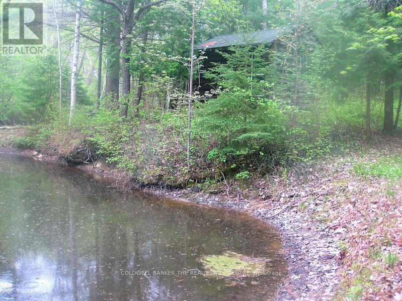 15600 Weston Road, King, Ontario  L7B 0L1 - Photo 38 - N12866694