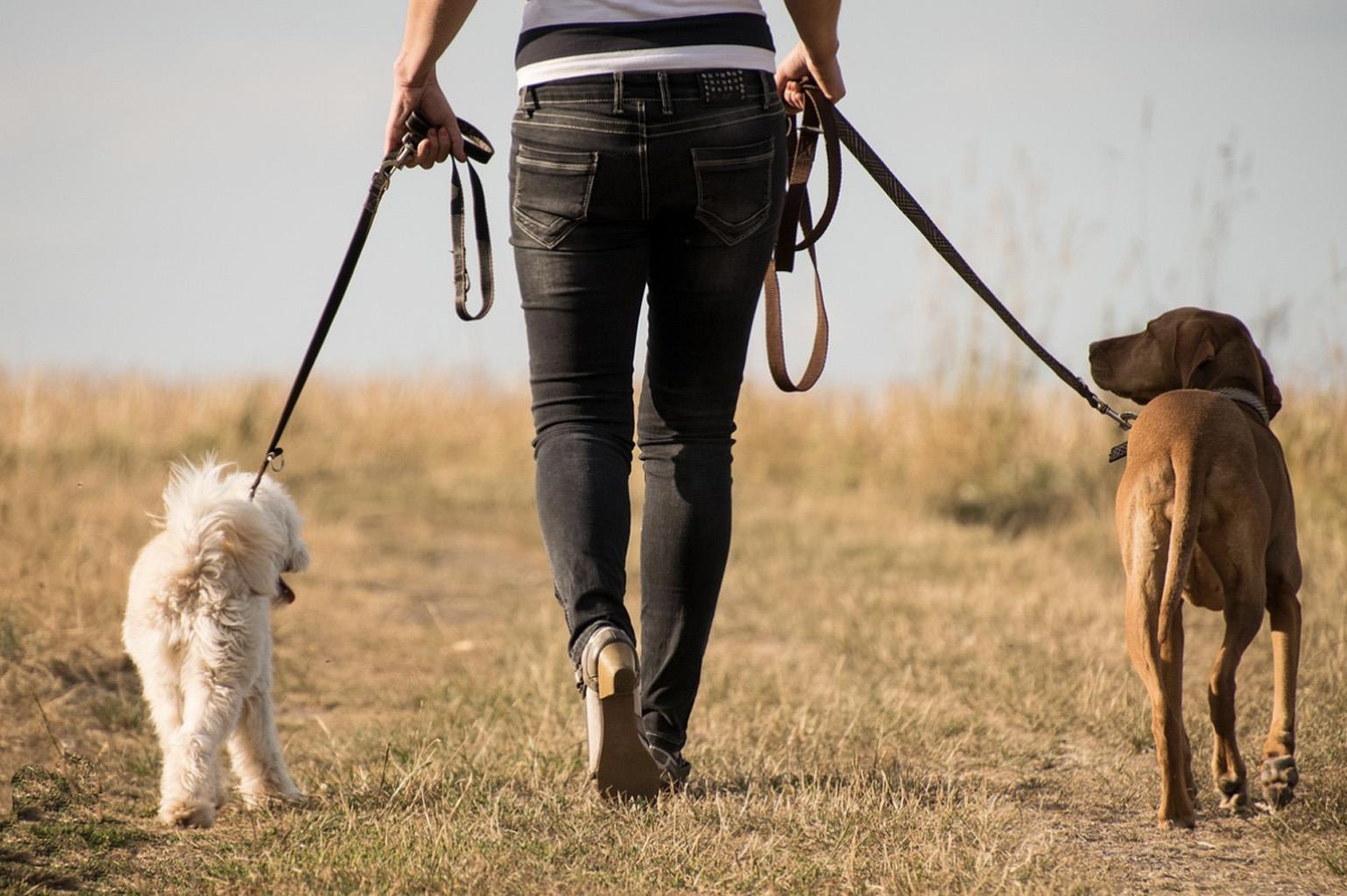 136 16275 15 Avenue, Surrey, British Columbia  V4A 1L4 - Photo 20 - R3113584