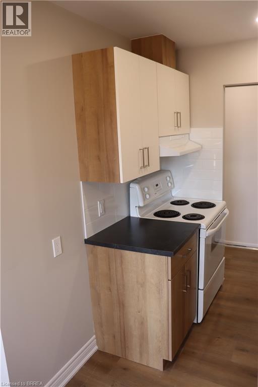 366 Darling Street Unit# 2, Brantford, Ontario  N3S 3Y5 - Photo 3 - 40822900