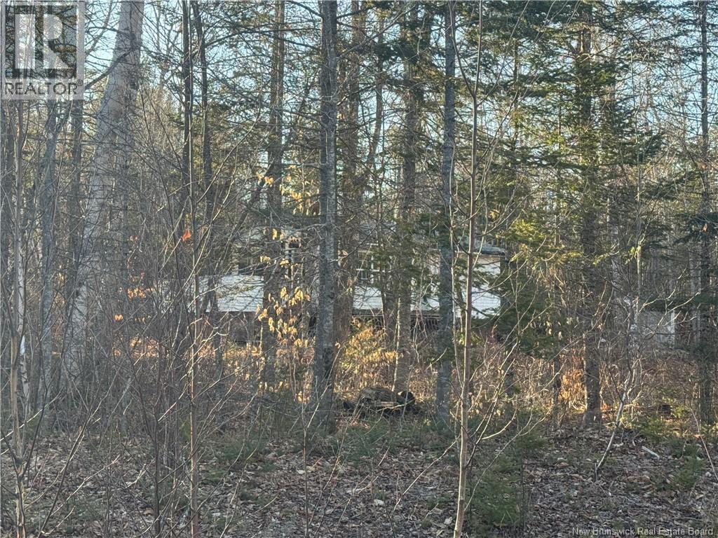 Camp Lake Road, South Oromocto Lake, New Brunswick  E5L 2R2 - Photo 35 - NB137662
