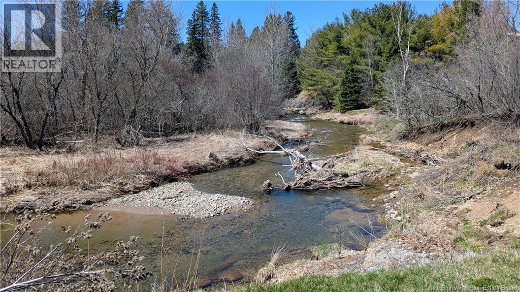 1874 Route 895, Elgin, New Brunswick  E4Z 2N6 - Photo 6 - NB133691